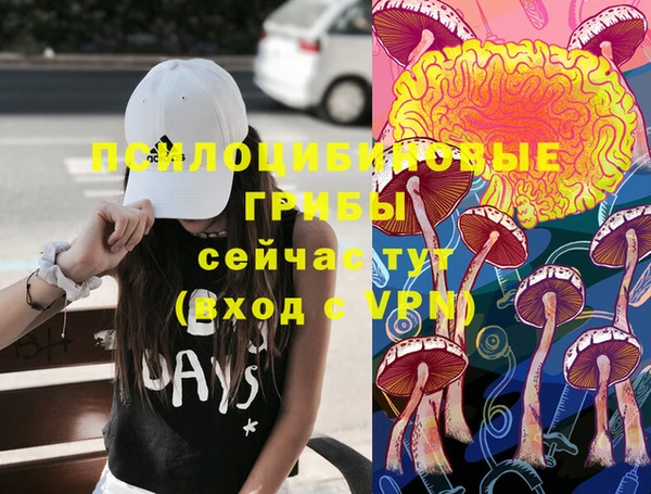 не бодяженный Верея