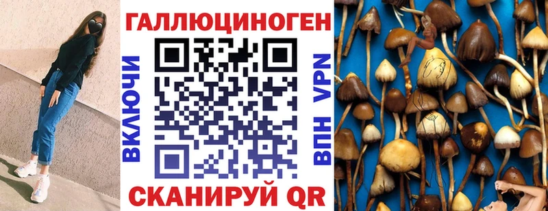 Галлюциногенные грибы Cubensis  Сретенск 